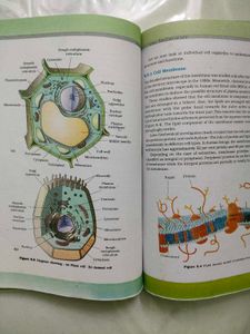 Class 11 Ncert Biology