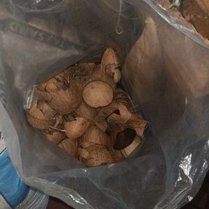 raw material coconut shell