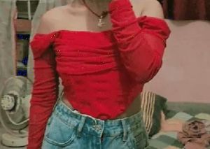 Chic Off-Shoulder Mesh corset Top