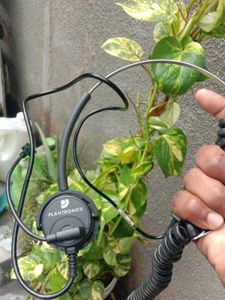 professional office/call center headset