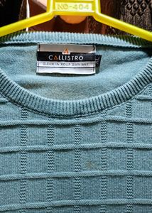 Light Blue normal tshirt full sleeve