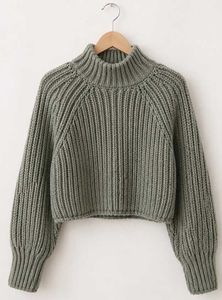 H&M Chunky Knit Sweater