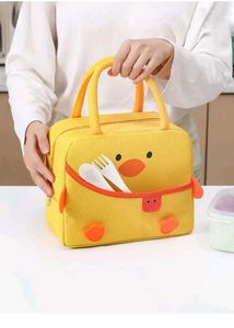 SAFESEED Lunch Bag for School Picnic Office
