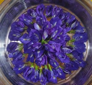 100 grams organicly Dried Butterfly Pea Flowers