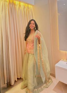 Elegant Ethnic Lehenga Choli Set