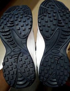Original Lakhani (E-1604) Canvas Sports Shoes