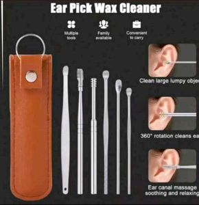 Premium Stainless Steel Ear Wax Cleaner Set with L