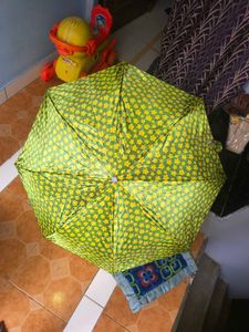 umbrella beautiful green color