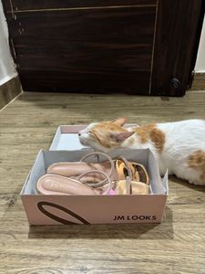 Sparkling Rose Gold Heels