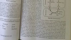 Botany For Degree Students - B.P. Pandey