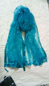 (New) Net Embroidered Dupatta ( pack of 1 )