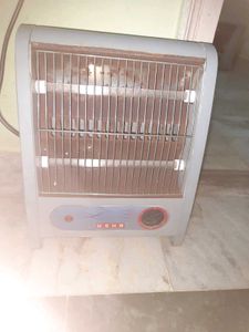 USHA 2 Rod 800 Watt Quartz Room Heater