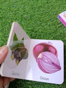 Set of 4 Board Books for Toddlers