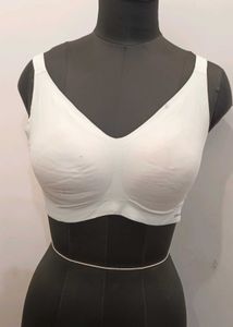 Crocodile Thick Padded Bra Size L
