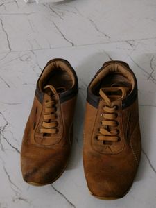 Casual/ Formal Shoes