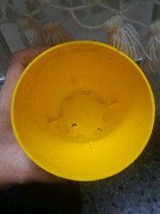 PLANTER (Set of 2) Yellow Color