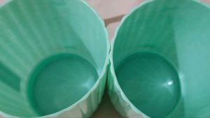 Simi Plast Coffee Mug - Set of 2