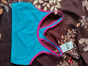 triumph beginner bra