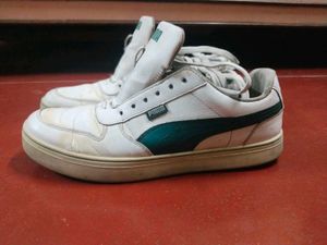 PUMA SkateCat Drift Sneakers (White-Malachite) – M