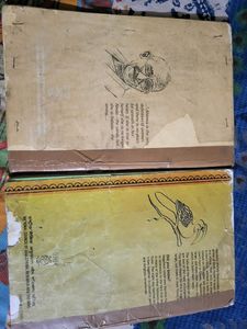 Hornbill And Snapshot For 11th English