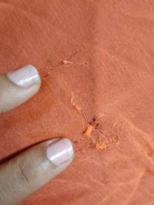 Orange Embroidered Saree.