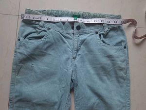Greenish grey Corduroy Pants / capris