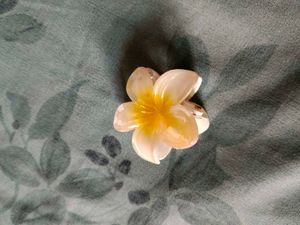 Flower Hair Clip 🌼