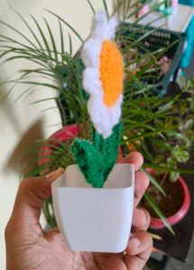 Crochet Daisy Flower pot
