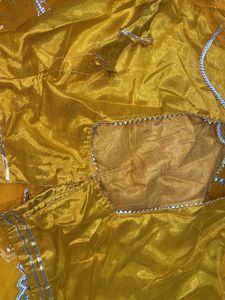 Beautiful Saree With Stiched Blouse Peticaot