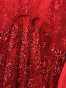 Stunning Red Barbie Gown