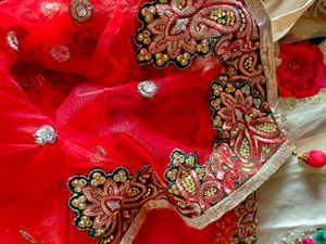 Lehenga Saree