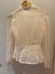 Elegant Sheer Blouse
