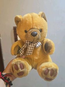 Clearance sale 🔥🔥🔥Brown Teddy Bear