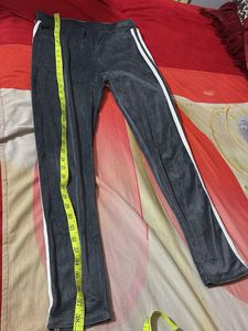Velvet Gym Pants