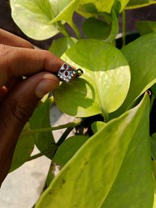 Sparkling Diamond Stud Earrings