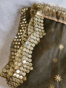 Embellished Net Dupatta