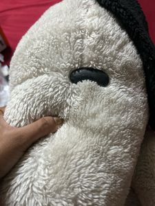 soft toy dog