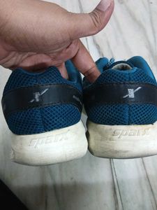 Sparx Men's Teal Sport Shoes