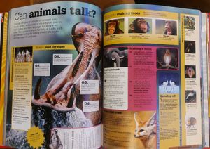 BRAND NEW ENCYCLOPEDIA 📚