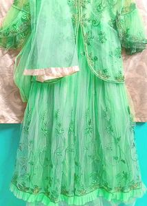 Stunning Green Embroidered Gaon Set