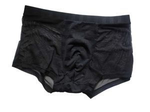Sheer Mesh Boxer Briefs