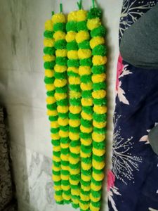 Marigold Strings