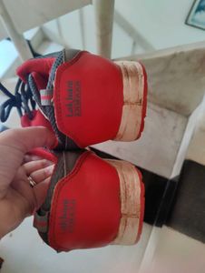 Lakhani Armaan Sports Shoes
