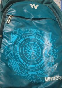 Wildcraft Teal Backpack with Compass Print