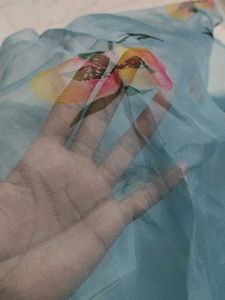 Organza dupatta 🩵