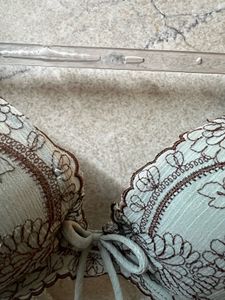 Floral Embroidered Underwire Padded Bra