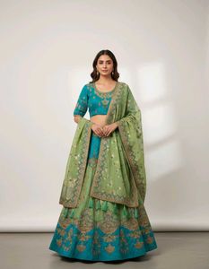 Wedding Wear Choli