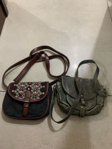 Combo of two bags