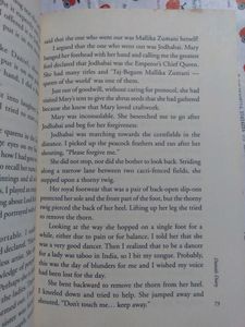 Daniel's Diary