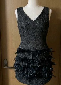 Sparkling Feather Trimmed Dress